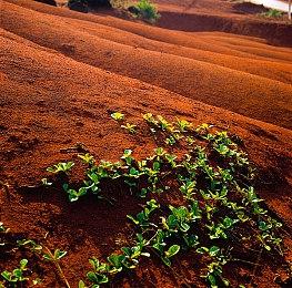 CDPR对《赛博朋克2077》NS2版信心满满：无内存问题